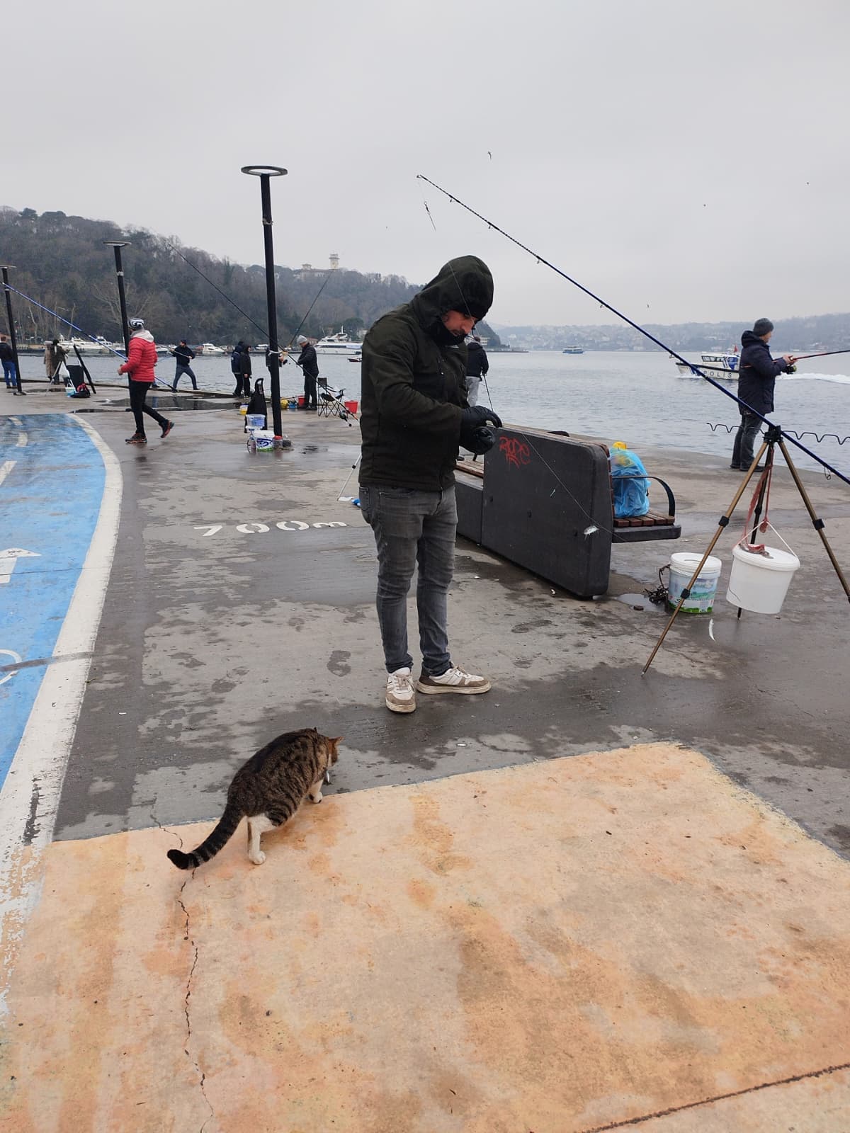 Whatsapp Image 2026 01 24 At 15.29.00